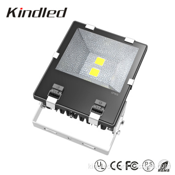 Bridgelex High Power COB 100W LED Flood Light with CE and RoHS Approved